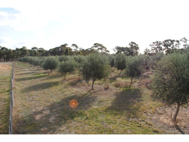 0 Adelaide Lead – Alma Road, Maryborough VIC 3465