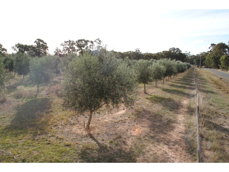 0 Adelaide Lead – Alma Road, Maryborough VIC 3465