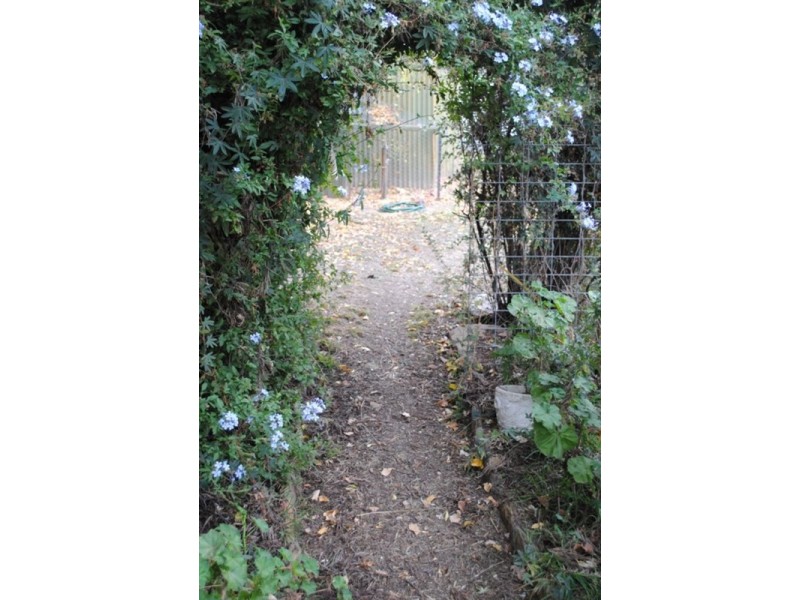 39 Raglan Street, Maryborough VIC 3465