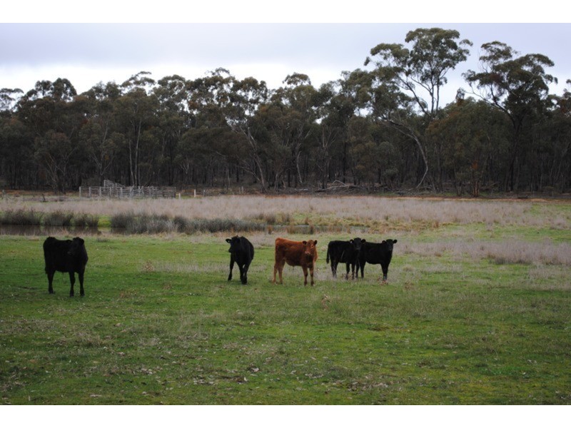 373 Old Avoca Road, Adelaide Lead VIC 3465