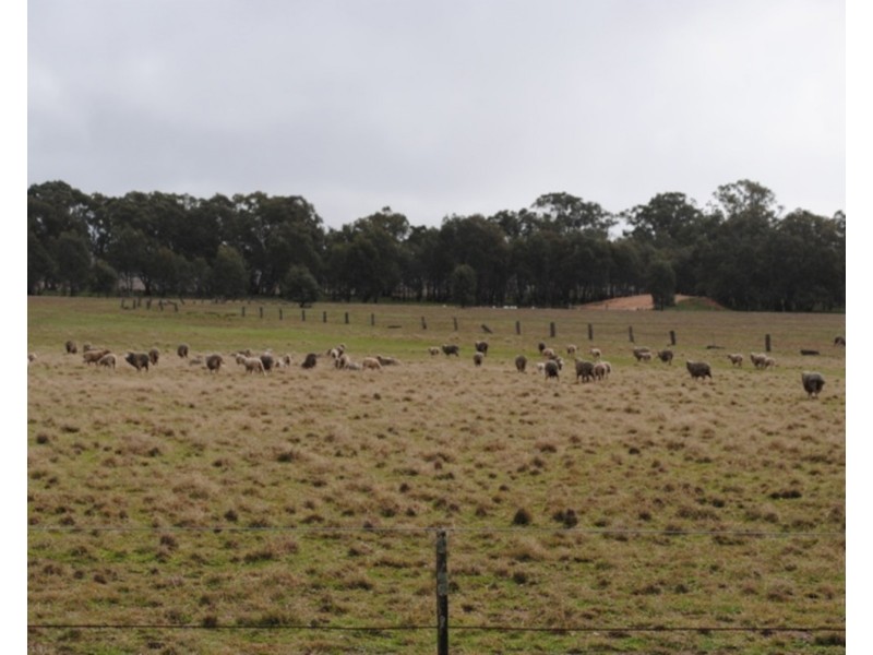 207 Old Eddington Road, Betley VIC 3472