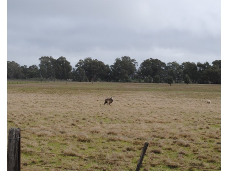 207 Old Eddington Road, Betley VIC 3472