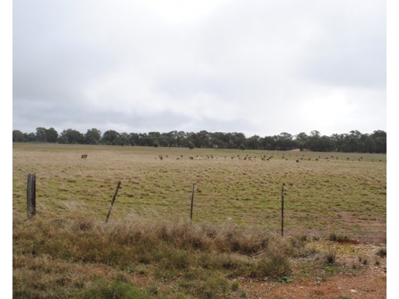 207 Old Eddington Road, Betley VIC 3472