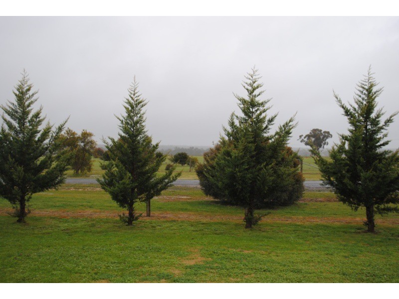 38 Heape  Street, Maryborough VIC 3465