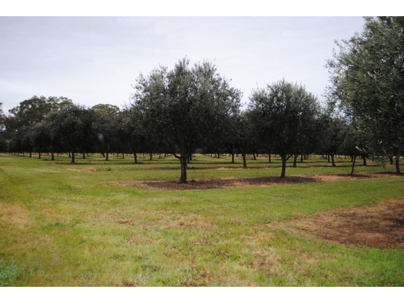 128 Moonlight  Road, Maryborough VIC 3465