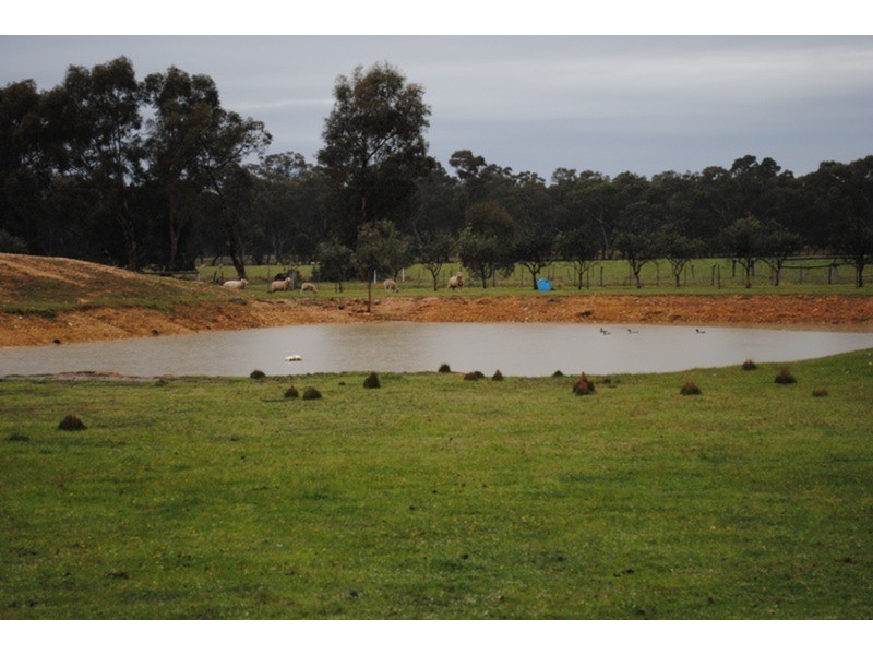 128 Moonlight  Road, Maryborough VIC 3465