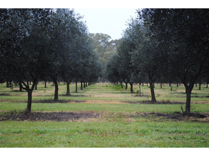 128 Moonlight  Road, Maryborough VIC 3465