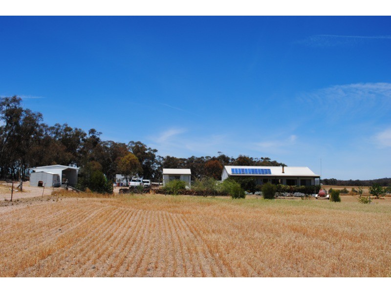 1296 Dunolly – Orville  Road, Murphys Creek VIC 3551