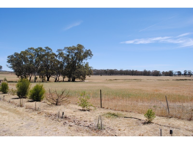 1296 Dunolly – Orville  Road, Murphys Creek VIC 3551