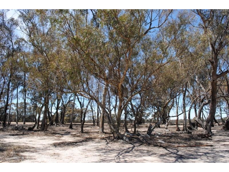 1296 Dunolly – Orville  Road, Murphys Creek VIC 3551