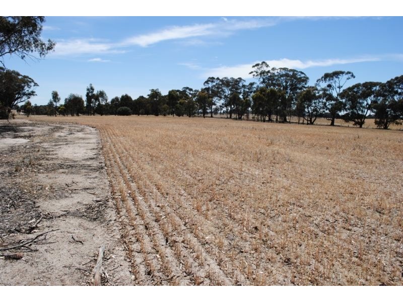 1296 Dunolly – Orville  Road, Murphys Creek VIC 3551