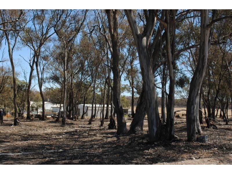 1296 Dunolly – Orville  Road, Murphys Creek VIC 3551