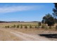 1296 Dunolly – Orville  Road, Murphys Creek VIC 3551