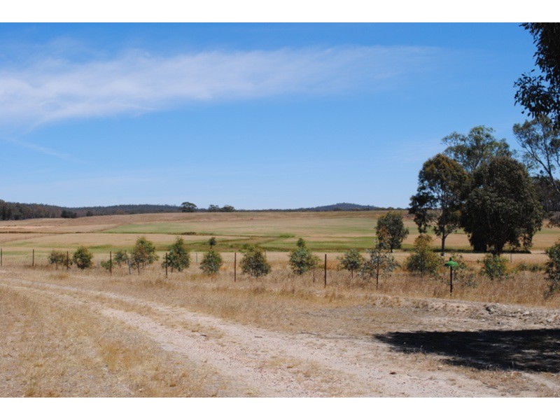 1296 Dunolly – Orville  Road, Murphys Creek VIC 3551
