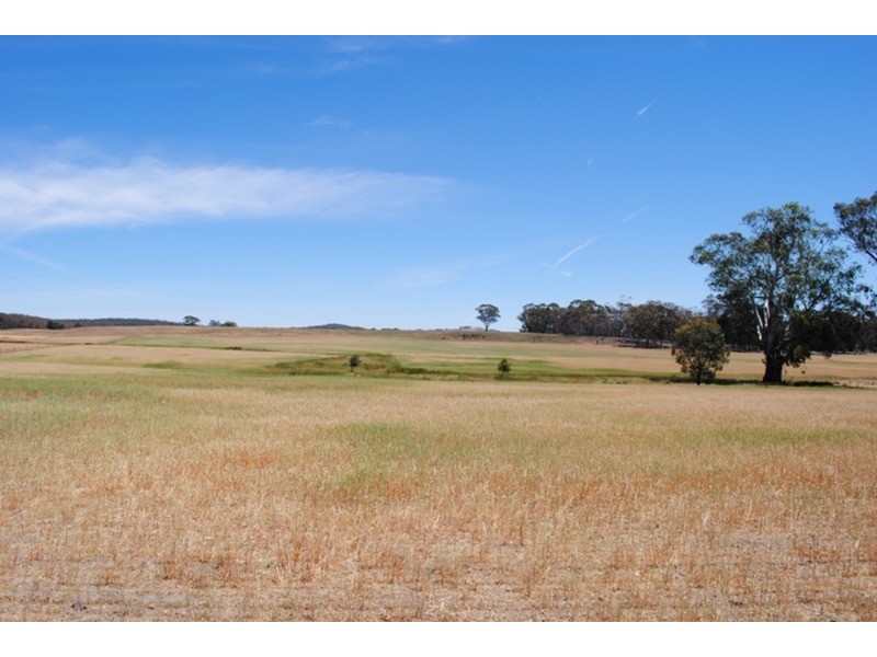1296 Dunolly – Orville  Road, Murphys Creek VIC 3551