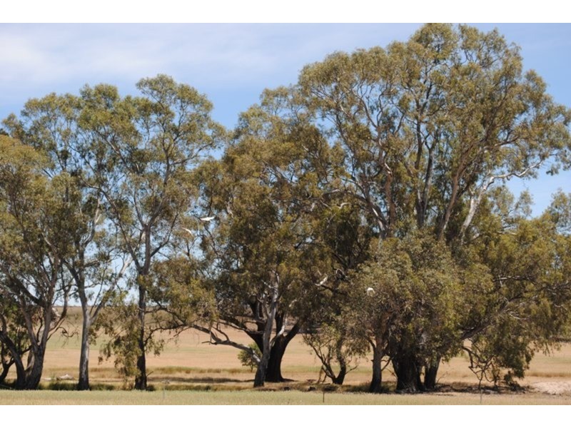 1296 Dunolly – Orville  Road, Murphys Creek VIC 3551