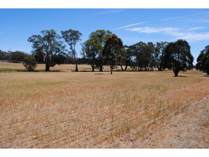 1296 Dunolly – Orville  Road, Murphys Creek VIC 3551