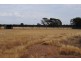9 Harkin Court, Alma VIC 3465