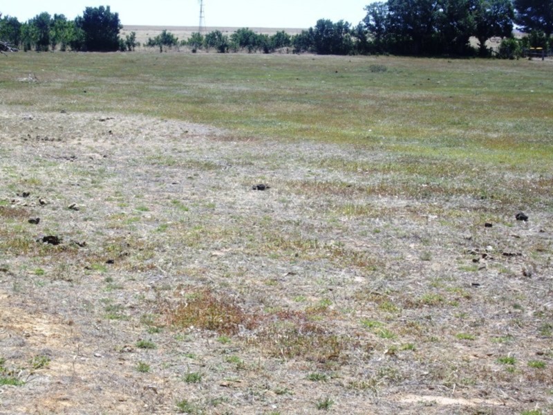 468 Porteous Road, Wareek VIC 3465