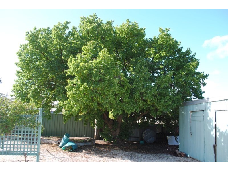 13 Tweedale Street, Dunolly VIC 3472