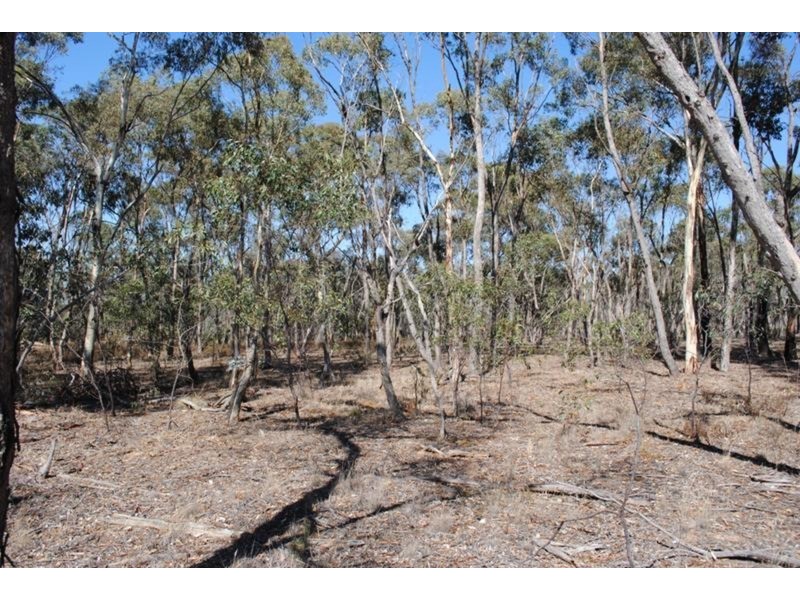 7064 Pyrenees Highway, Avoca VIC 3467