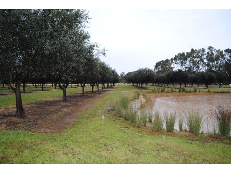 128 Moonlight  Road, Maryborough VIC 3465