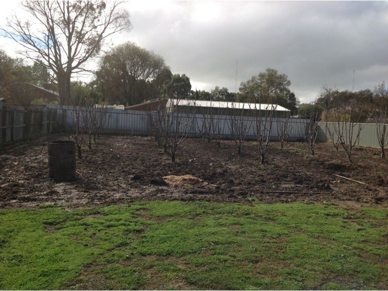 6 Annesley Street, Carisbrook VIC 3464