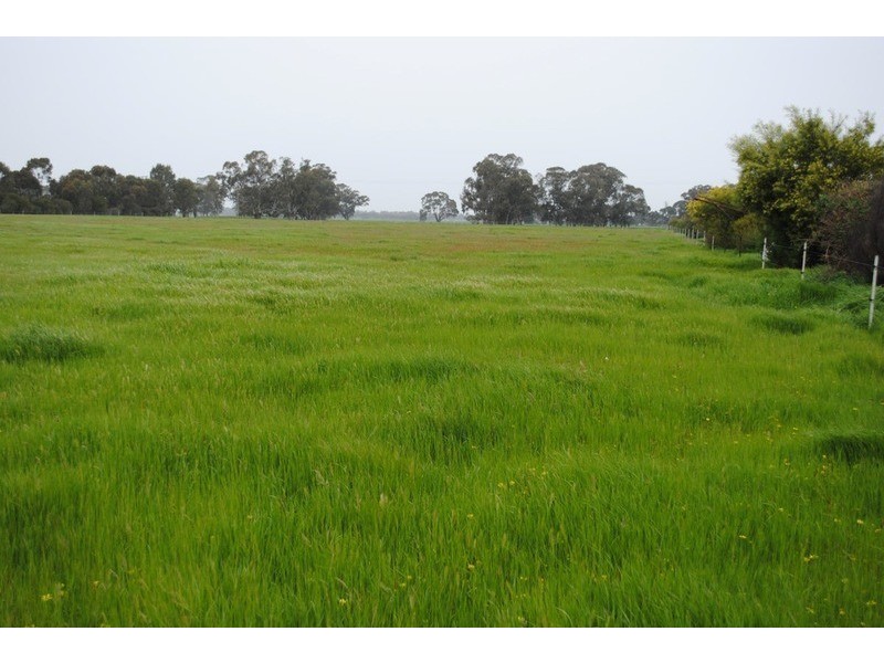 2878 Maryborough-St Arnaud Road, Natte Yallock VIC 3465