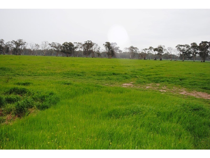 2878 Maryborough-St Arnaud Road, Natte Yallock VIC 3465