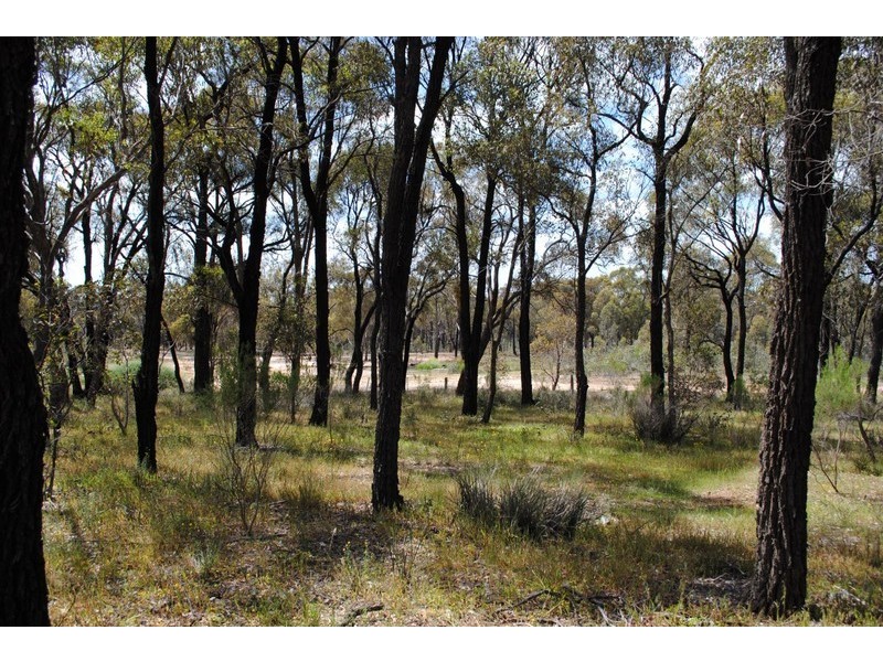 82 Sutton Road, Maryborough VIC 3465