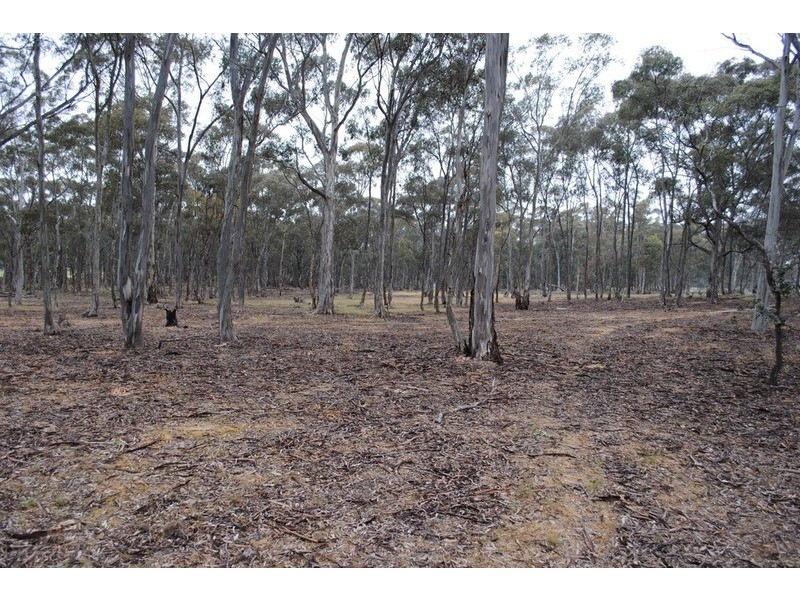 120 Nuggetty Gully  Road, Talbot VIC 3371