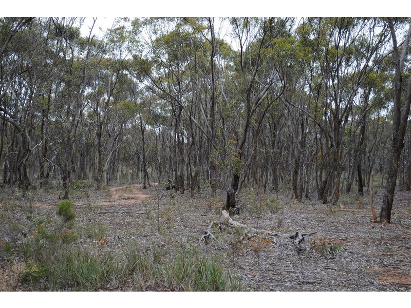 156 Timor Road, Maryborough VIC 3465