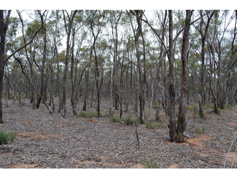 156 Timor Road, Maryborough VIC 3465