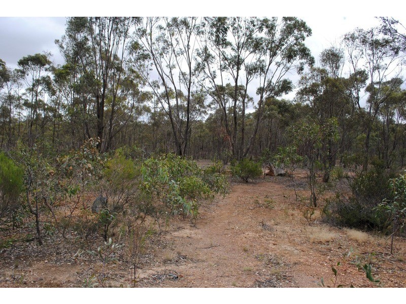 Lot 21 Moliagul Drive, Moliagul VIC 3472