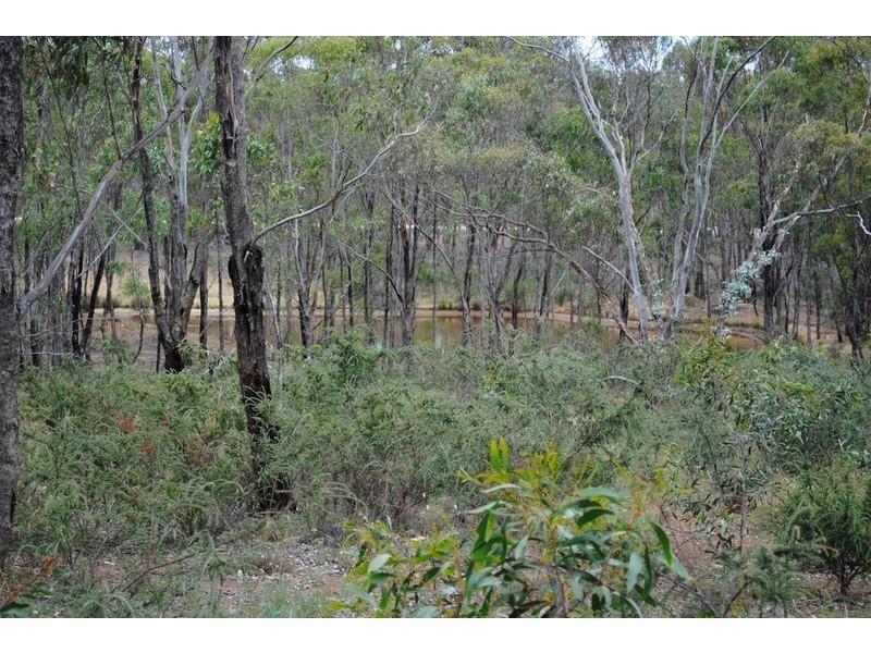 Lot 21 Moliagul Drive, Moliagul VIC 3472