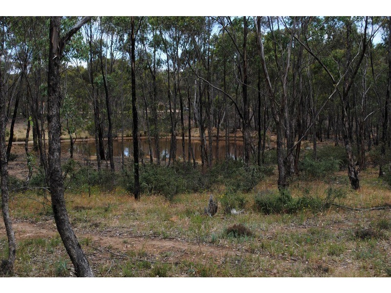 Lot 21 Moliagul Drive, Moliagul VIC 3472