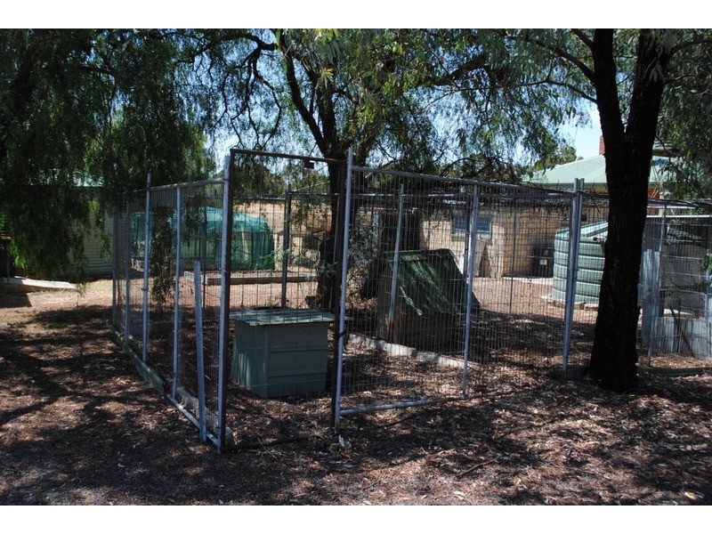 1272 Dunolly-Timor Road, Timor VIC 3465