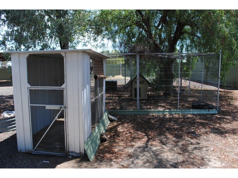 1272 Dunolly-Timor Road, Timor VIC 3465