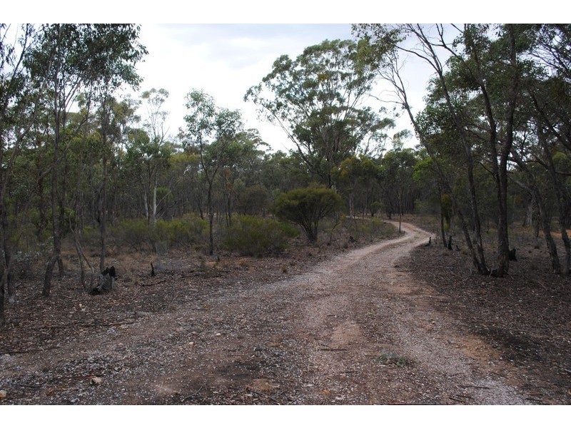 45 Long Gully Lane, Talbot VIC 3371