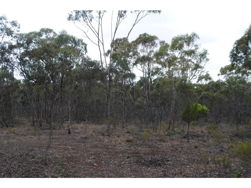 45 Long Gully Lane, Talbot VIC 3371