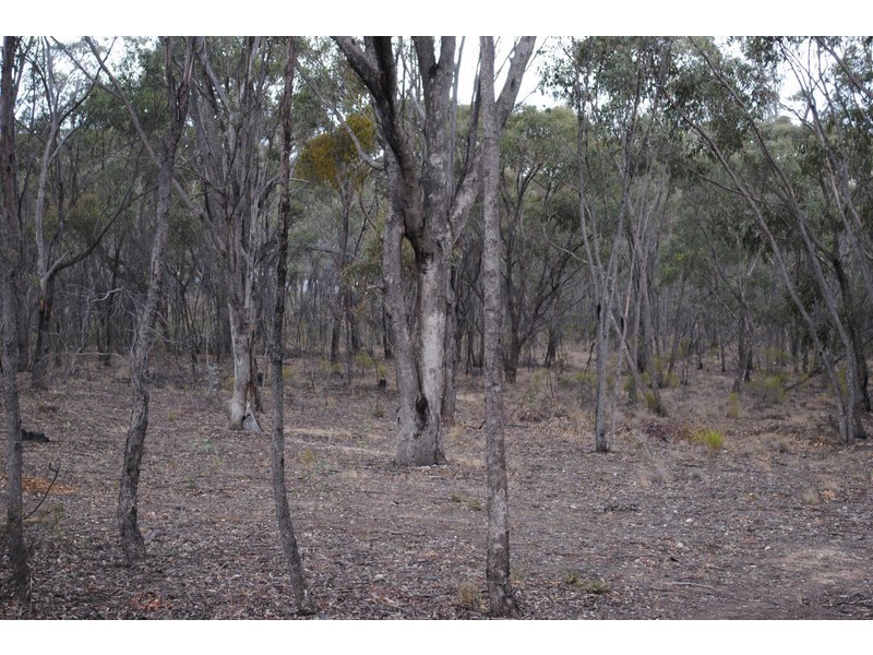 45 Long Gully Lane, Talbot VIC 3371