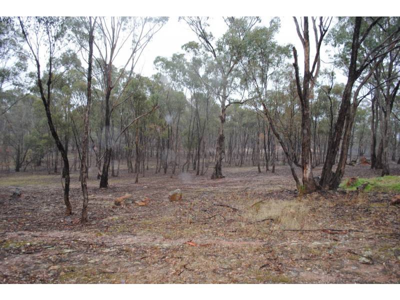 77 Atherton Road, Dunolly VIC 3472