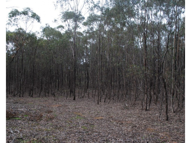 155 Longs Road, Wareek VIC 3465