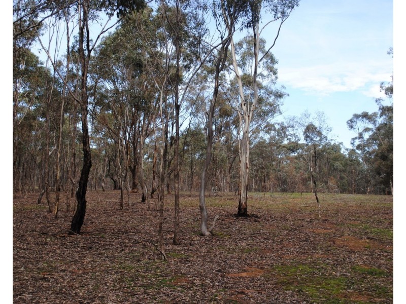 155 Longs Road, Wareek VIC 3465