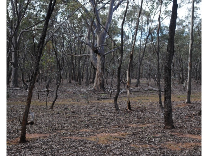 155 Longs Road, Wareek VIC 3465