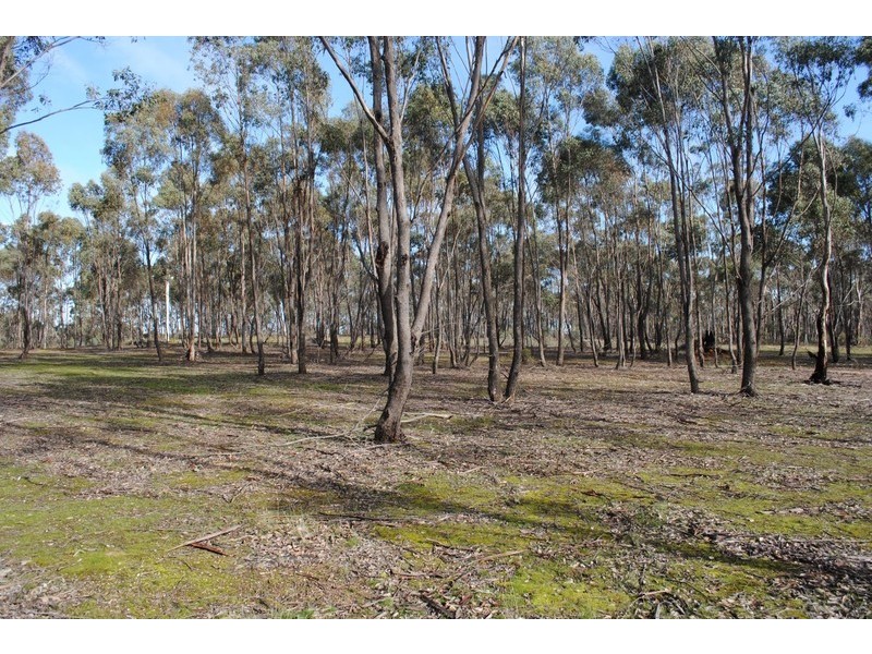 136 Nesbett Road, Majorca VIC 3465