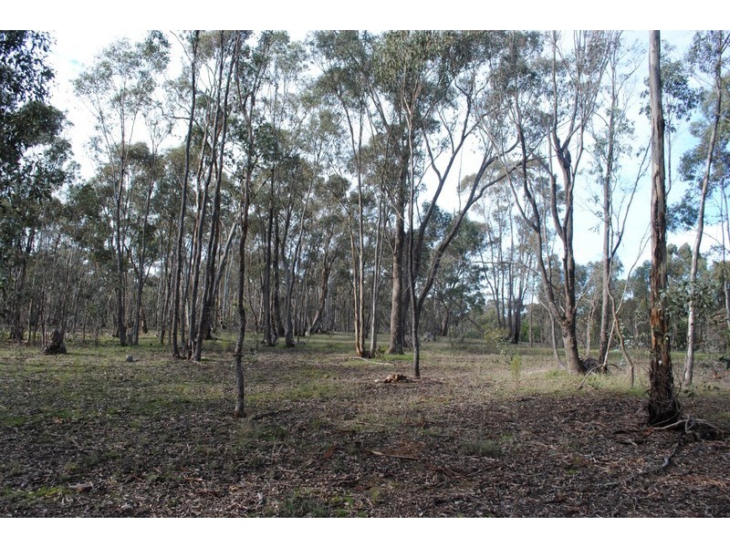 136 Nesbett Road, Majorca VIC 3465