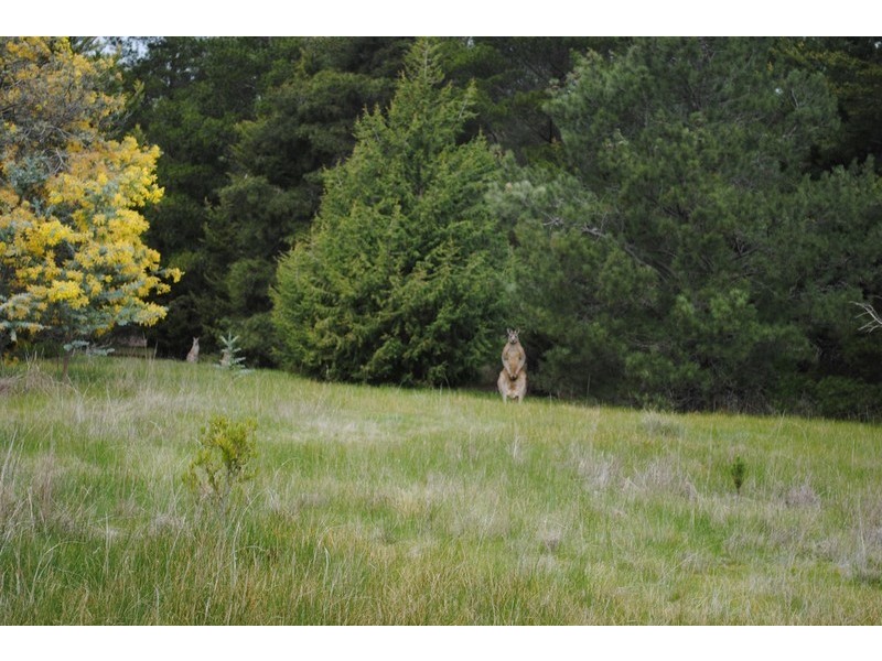 47 Gorry Road, Dunach VIC 3371