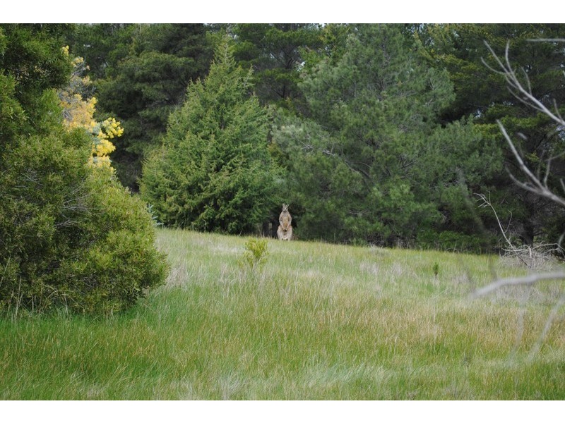 47 Gorry Road, Dunach VIC 3371