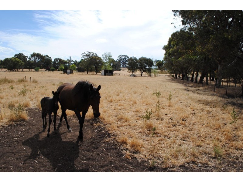 74 Gibbs Road, Majorca VIC 3465